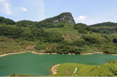 2018041315236033851509459789.png 圖片3.png