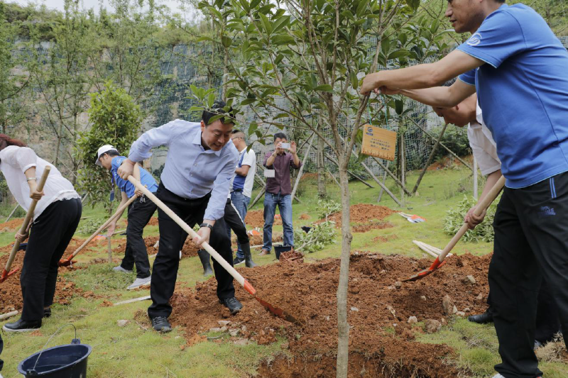 2018062515298968481120481033.png 圖片5_好圖看看.png