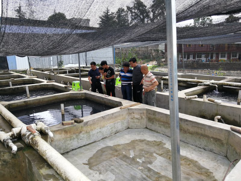 2018071015311870870944475379.png 圖片4_好圖看看.png