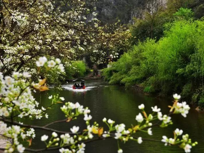 2019022815513233421109023816.jpg 微信圖片_20190228110519.jpg