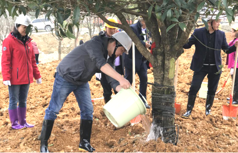 2019031315524617701522507550.png 圖片13.png