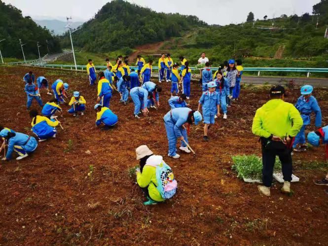 2021060216225987730952531344.png image.png