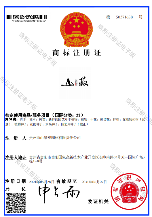 2021081116286474441004044148.png image.png