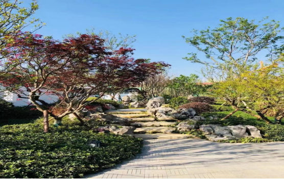 2021120216384063990853191548.png 微信圖片_20211202085142.png