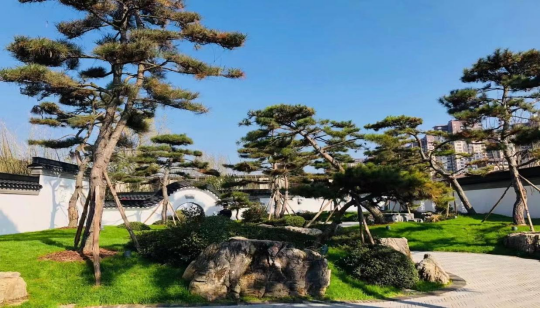 2021120216384064190853391064.png 微信圖片_20211202085147.png