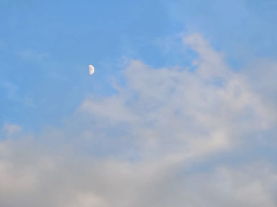 2023120617018412161340166346.jpg 4.jpg