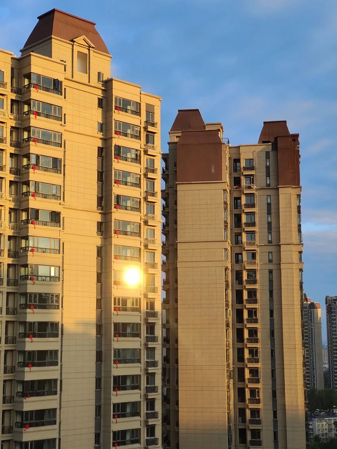 2023120617018412261340264614.jpg 5.jpg