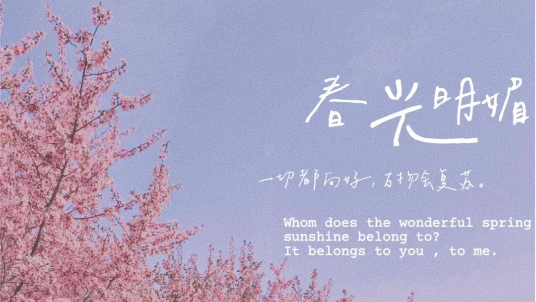 2023120617018532001700001002.png 6.png