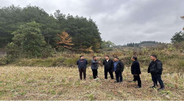 2024031817107241840909445466.png 2.png