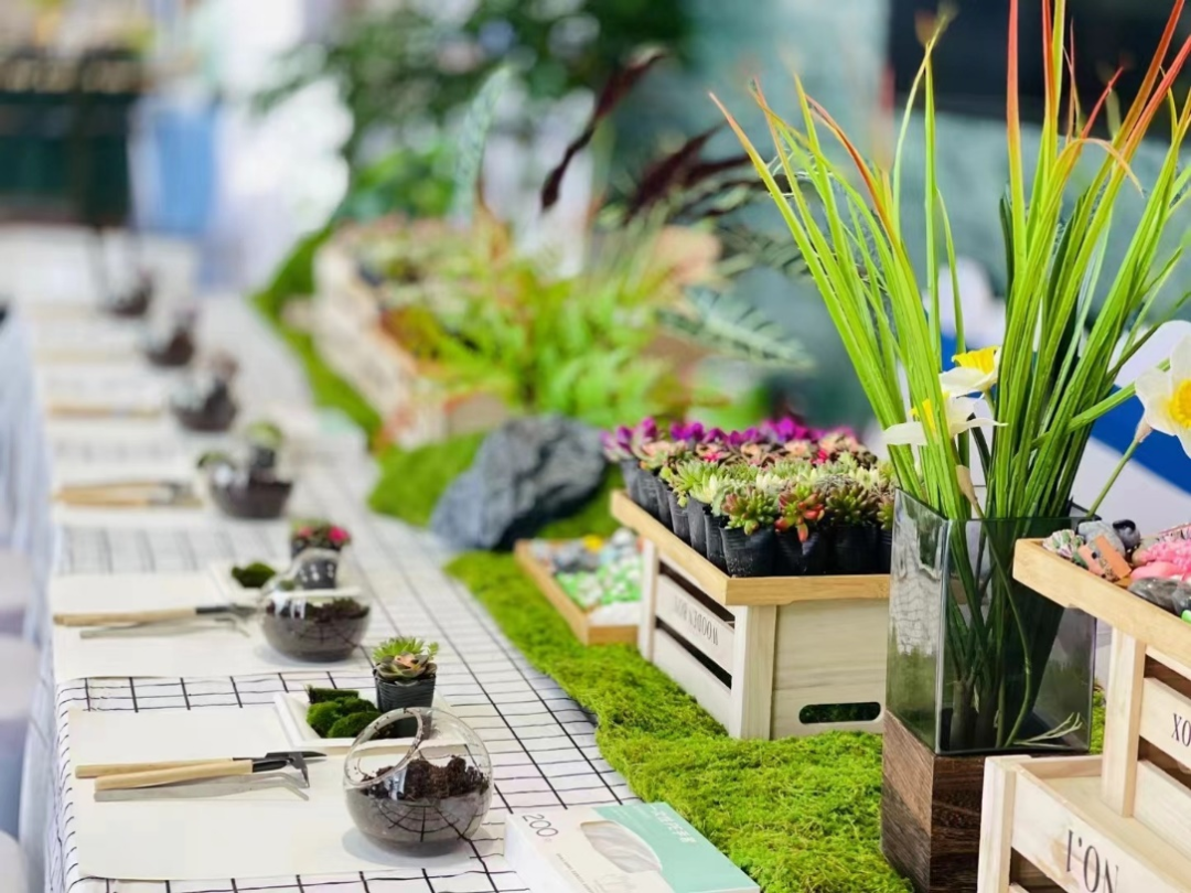 2024100917284783732052531287.png 14.png